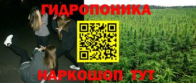 кокс Гусь-Хрустальный